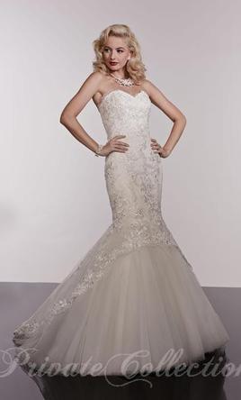 Private Collection 18922